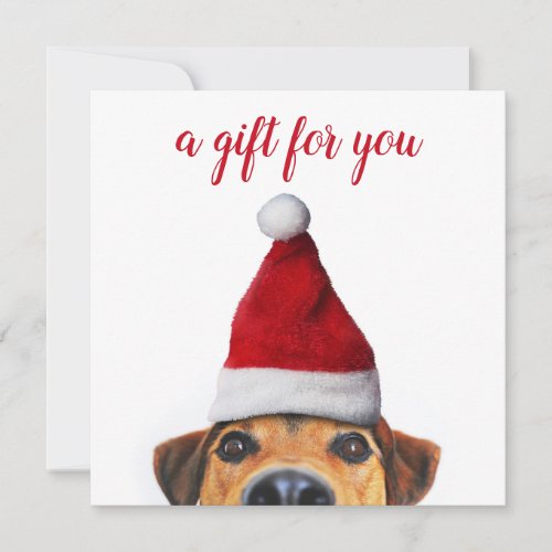 Curious Cute Funny Dog with Santa Hat Gift Card