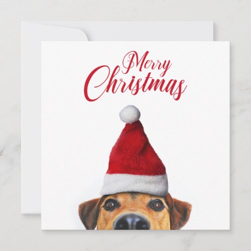 Curious Cute Funny Dog with Santa Hat Invitation