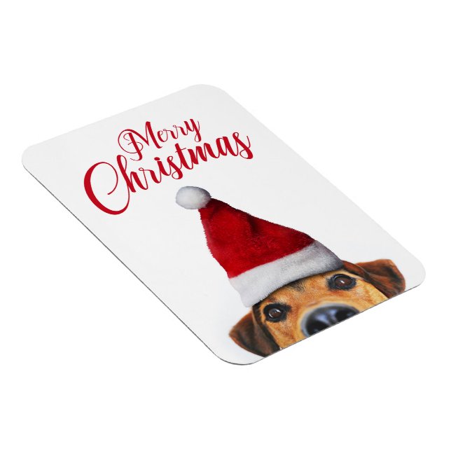 Curious Cute Funny Dog with Santa Hat Magnet (Right Side)