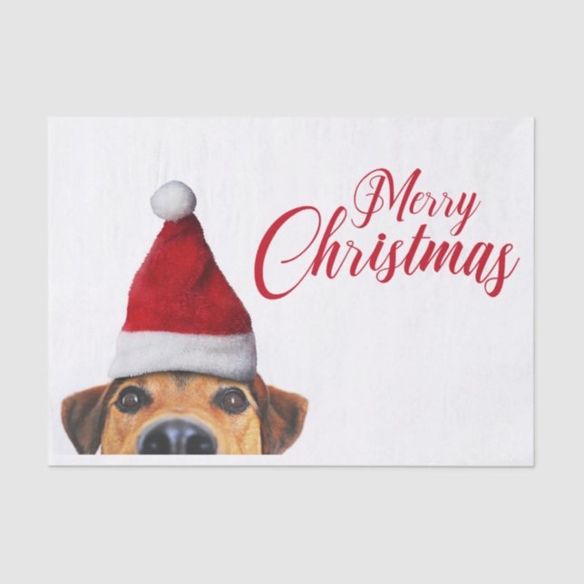 Curious Cute Funny Dog with Santa Hat Tissue Paper (Front)