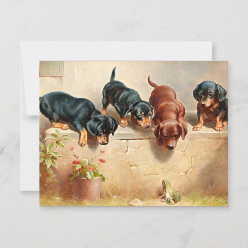 Curious Dachshund Puppies and a Frog Card