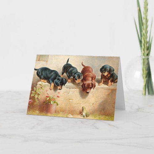 Curious Dachshund Puppies and a Frog Card
