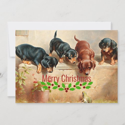 Curious Dachshund Puppies and a Frog Christmas Holiday Card