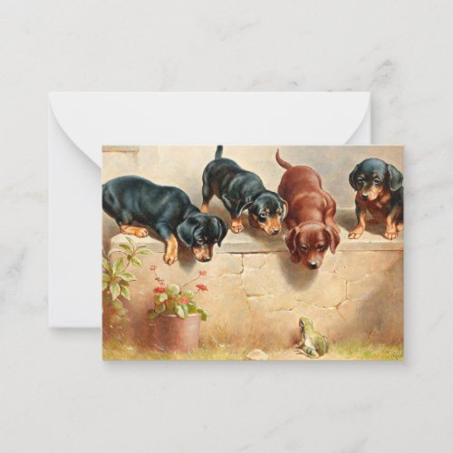 Curious Dachshund Puppies and a Frog Note Card