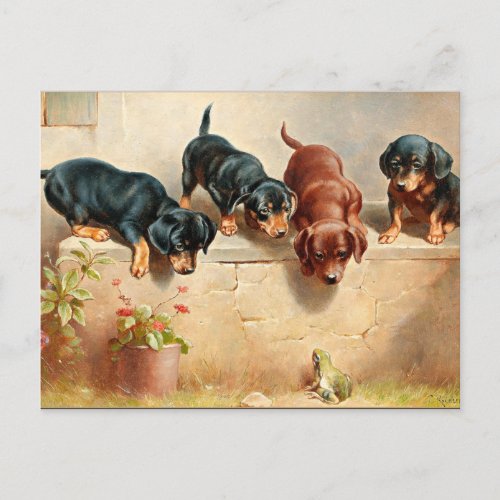 Curious Dachshund Puppies and a Frog Postcard