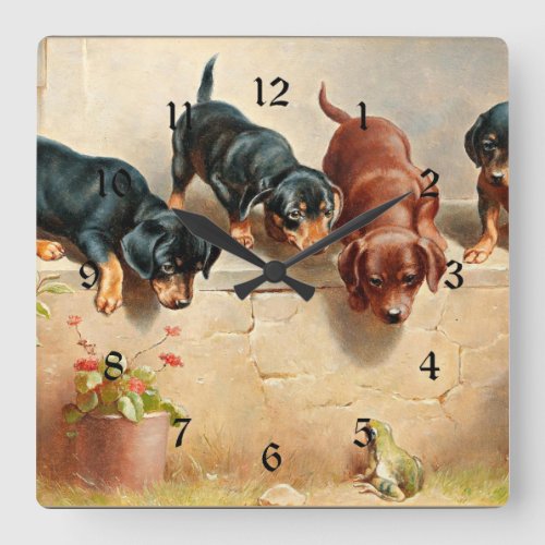 Curious Dachshund Puppies and a Frog Square Wall Clock