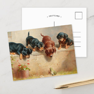 Curious Dachshund Puppies   Carl Reichert Postcard