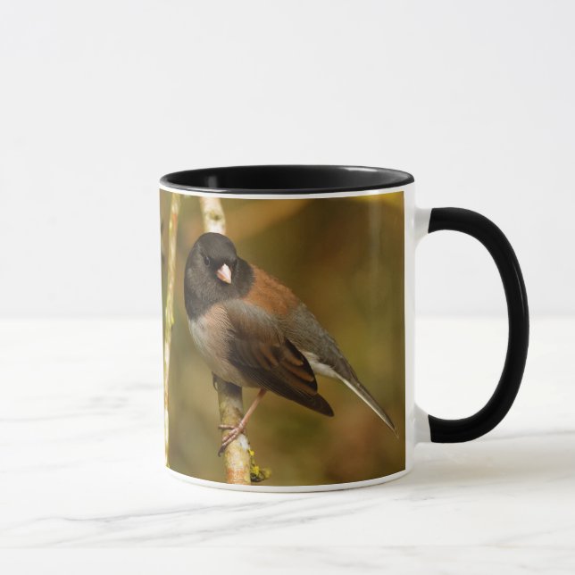 Curious Dark-Eyed Junco Sparrow Songbird Mug (Right)