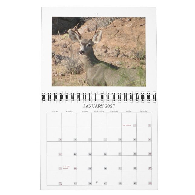 Curious Deer Calendar (Jan 2027)