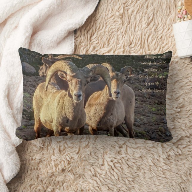 Curious Desert Bighorn Sheep Ram And Ewes Lumbar Pillow (Blanket)