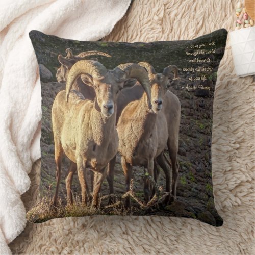 Curious Desert Bighorn Sheep Ram And Ewes Throw Pillow