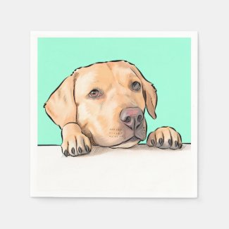 Curious Dog