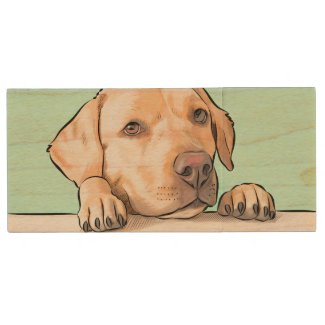 Curious Dog