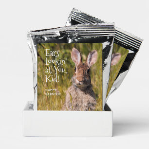 Curious Eastern Cottontail Rabbit Happy Earster Coffee Drink Mix