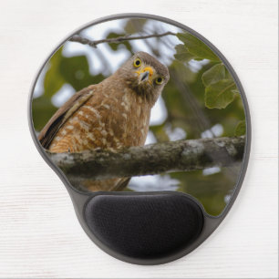 Curious Exotic Bird, Roadside Hawk Photo Gel Mouse Pad