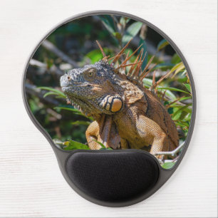 Curious Exotic Lizard, Orange Iguana Photo Gel Mouse Pad