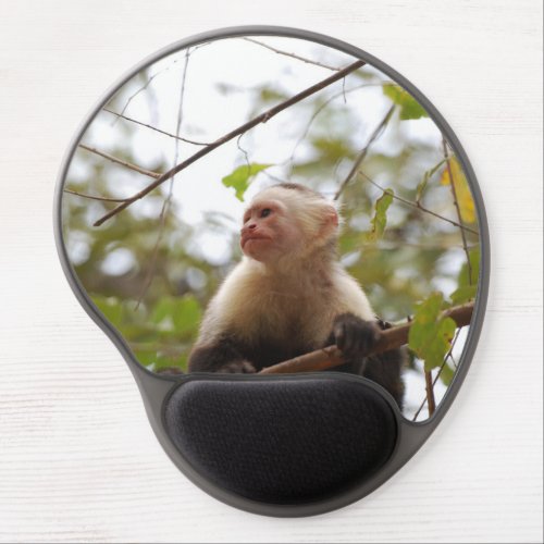 Curious Exotic Monkey White Faced Capuchin Photo Gel Mouse Pad