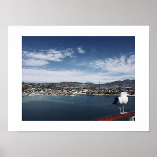 Curious Fellow Bird Color Photography Poster