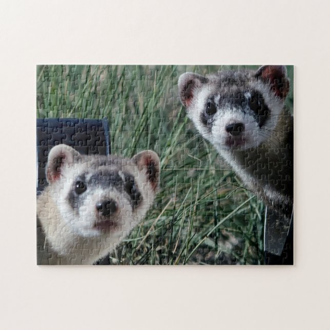 Curious Ferrets, Jigsaw Puzzle (Horizontal)