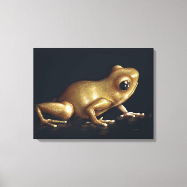 Curious Frog Painting Canvas Print (Front)