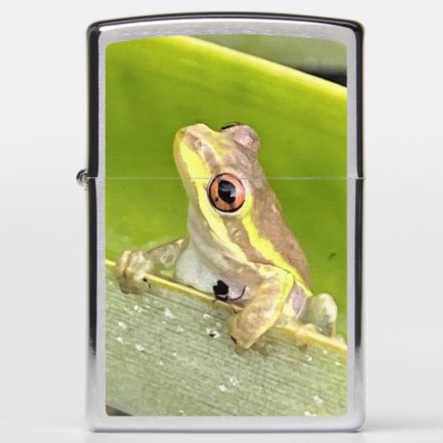 Curious Frog Zippo Lighter