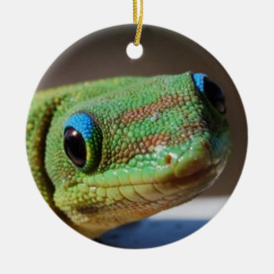 Curious Gecko Ceramic Ornament