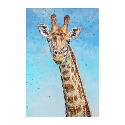 Curious Giraffe Acrylic Print