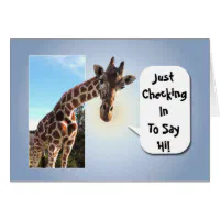 Curious Giraffe Just Checking In to Say Hi | Zazzle