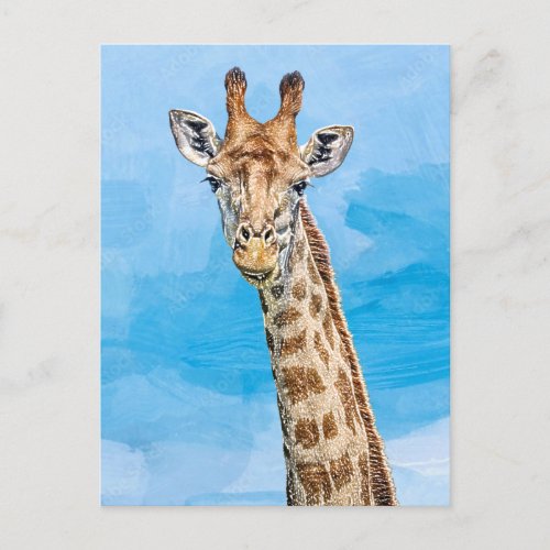 Curious Giraffe Postcard