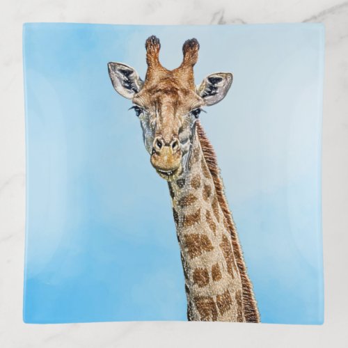 Curious Giraffe Trinket Tray