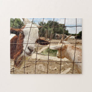 Curious goat - Puzzle