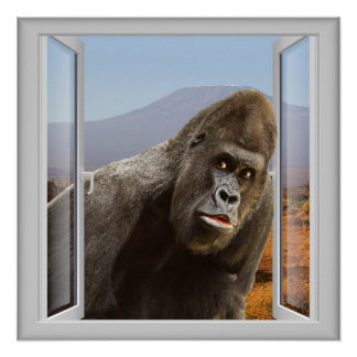 Curious Gorilla 3D Window Art Poster