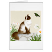 Curious Himalayan Cat (Front)