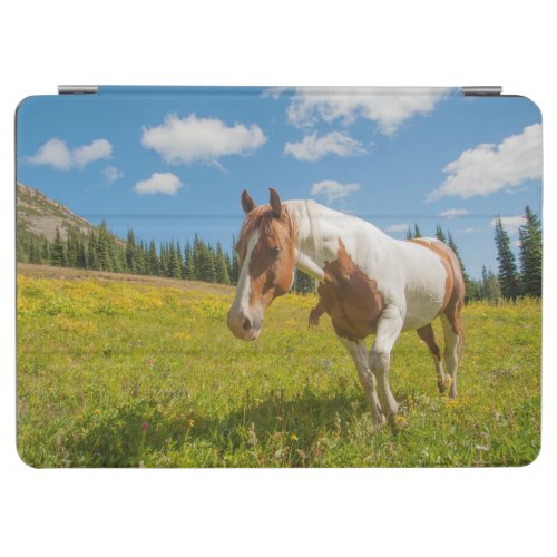 Curious Horse in an Alpine Meadow in Summer iPad Air Cover