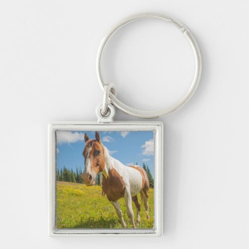 Curious horse in an alpine meadow in summer keychain