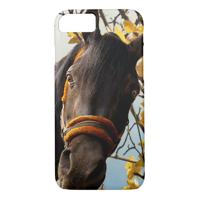 Curious Horse Looking Through The Kitchen Window Case-Mate iPhone Case (Back)