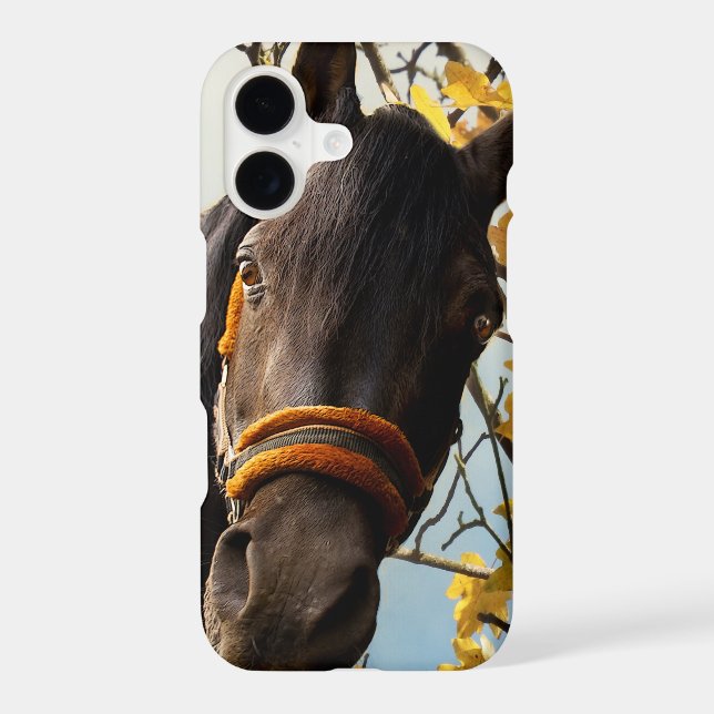 Curious Horse Looking Through The Kitchen Window Iphone Case (Back)