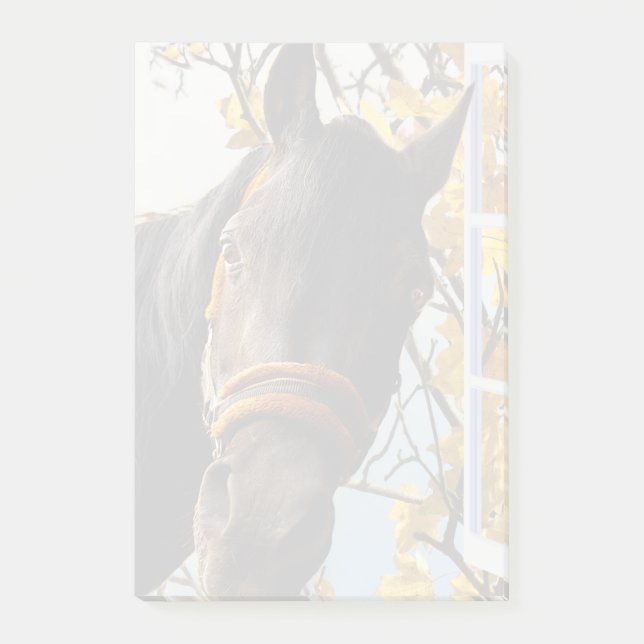 Curious Horse Looking Through The Kitchen Window Post-it Notes (Front)