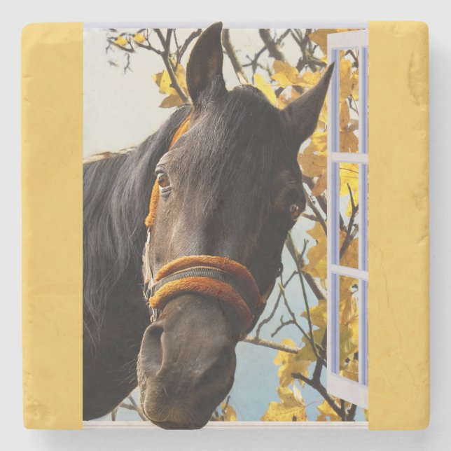 Curious Horse Looking Through The Kitchen Window Stone Coaster (Front)