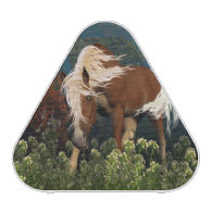 Curious Horse on a meadow Speaker
