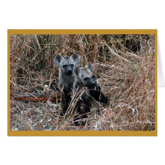 Curious hyena pups. cards (Front Horizontal)