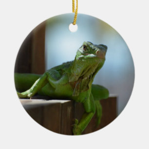 Curious Iguana Ceramic Ornament