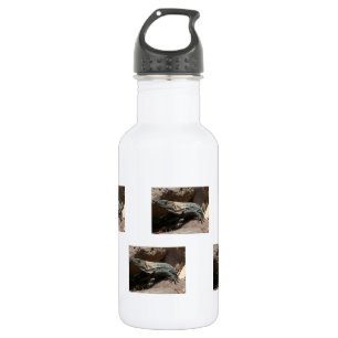 Curious Iguana Stainless Steel Water Bottle