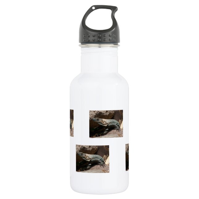 Curious Iguana Stainless Steel Water Bottle (Front)