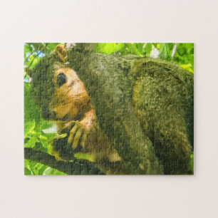 “Curious in the Canopy” Jigsaw Puzzle