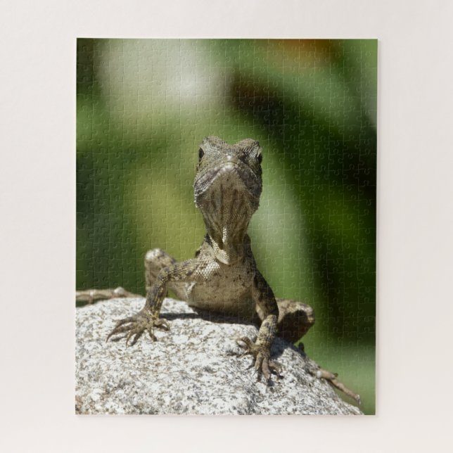 Curious Juvenile Lizard Jigsaw Puzzle (Vertical)