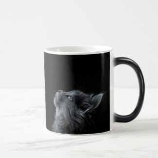 Curious Kitten Black Color Morph Mug