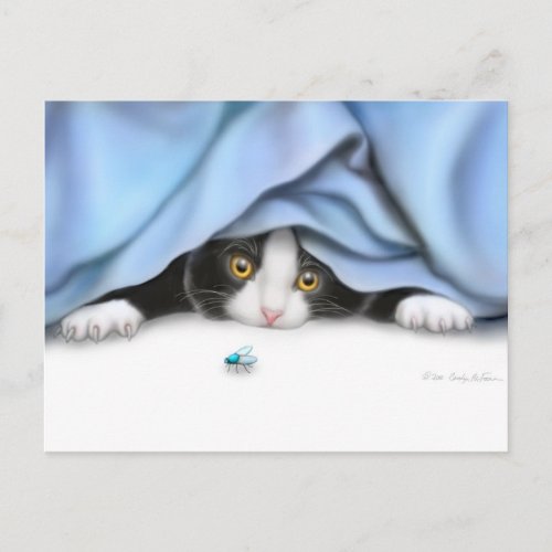 Curious Kitten Postcard