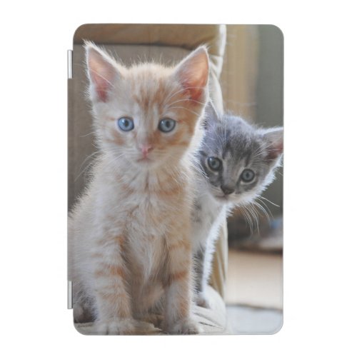Curious Kittens iPad Mini Cover