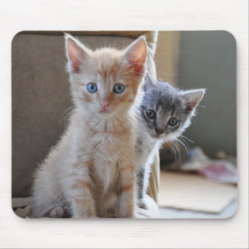 Curious Kittens Mouse Pad